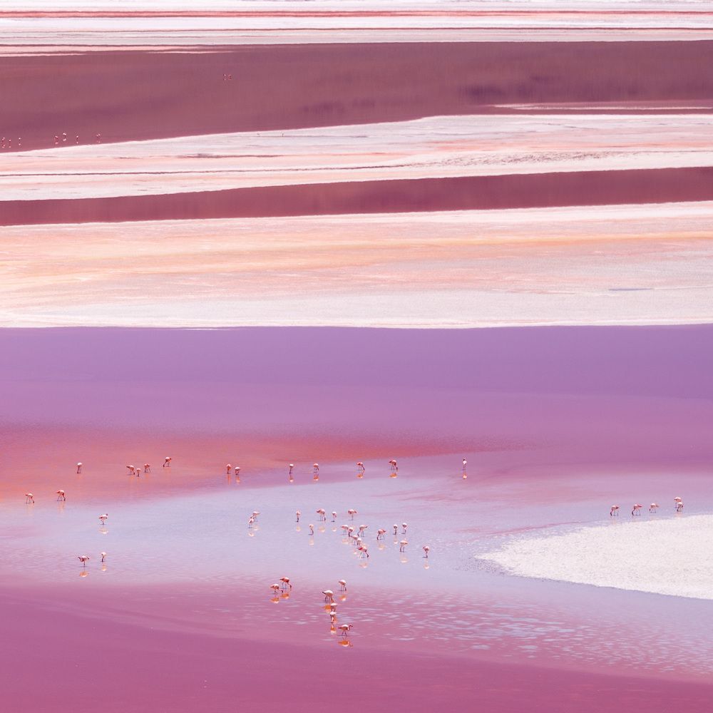 Laguna Colorada