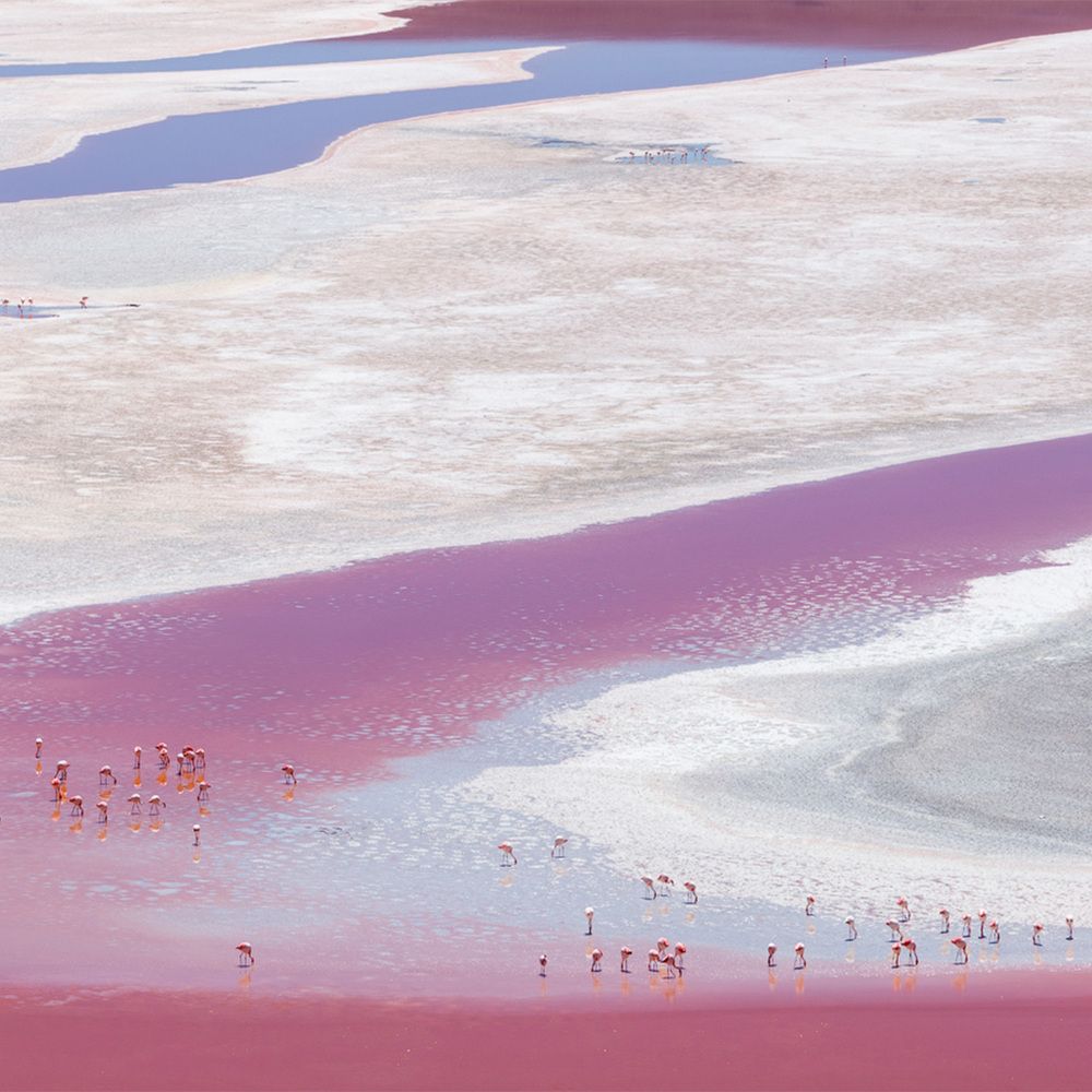 Laguna Colorada
