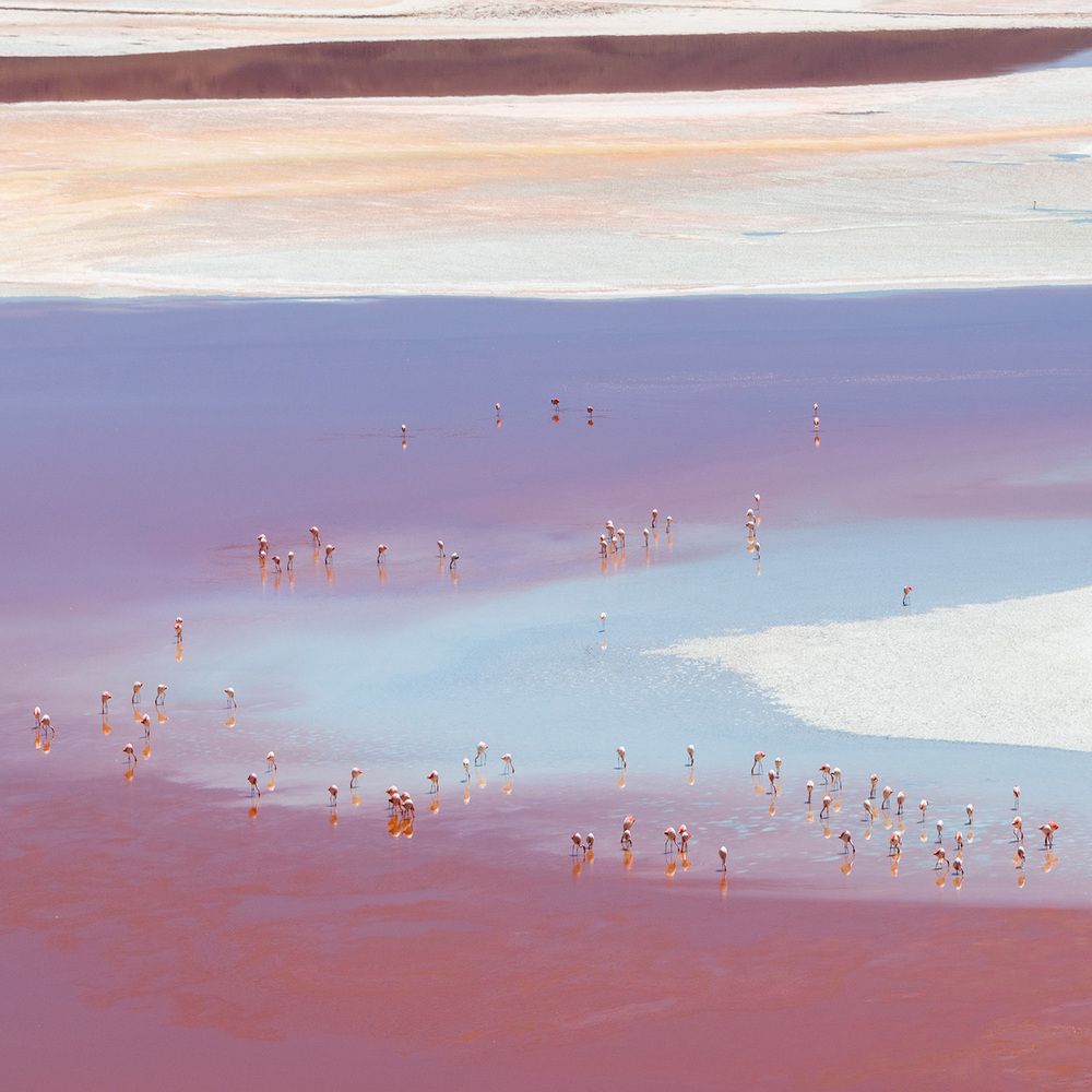Laguna Colorada