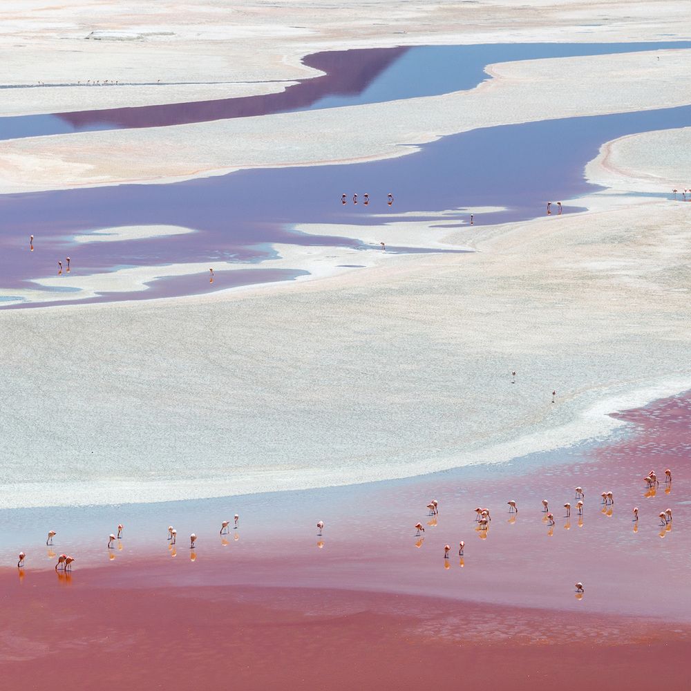 Laguna Colorada