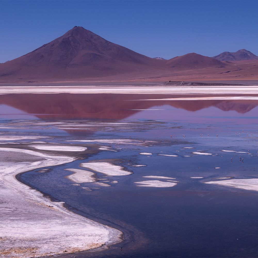 Laguna Colorada