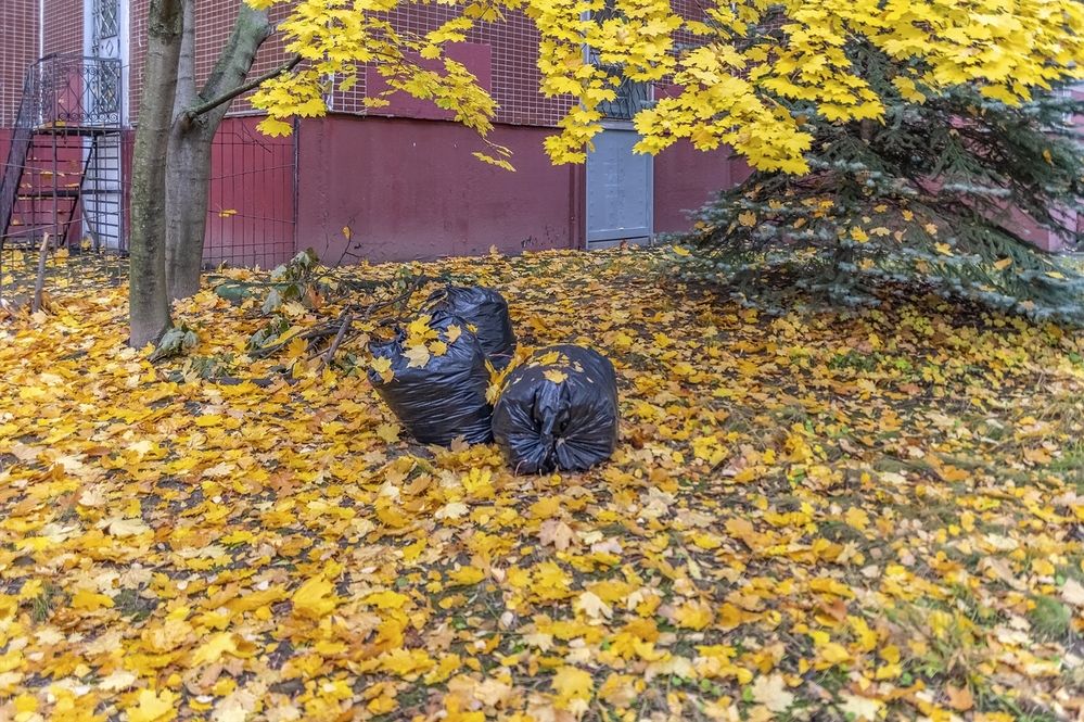 Урожай