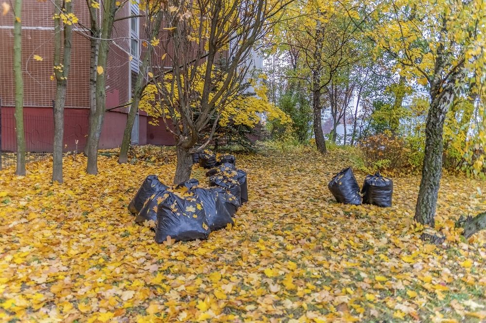 Урожай