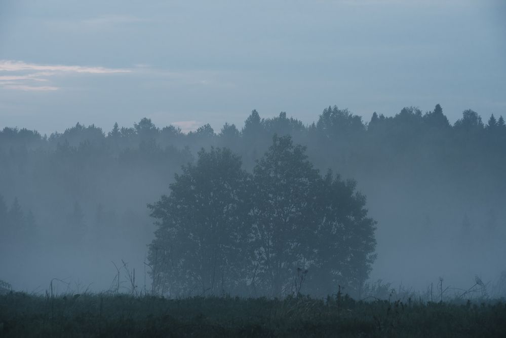 Photo 2918338