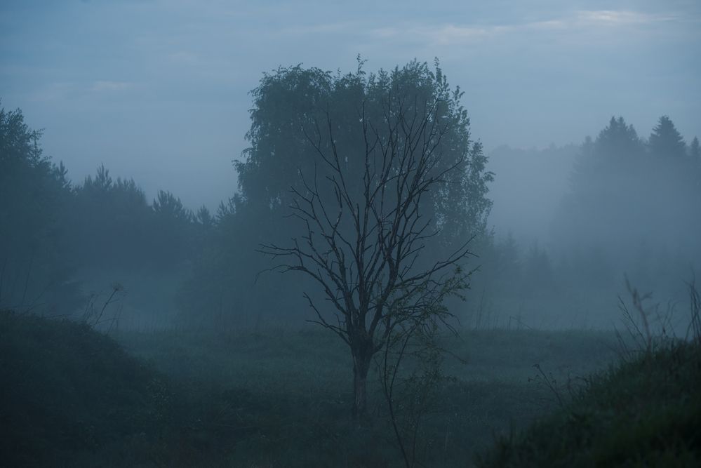 Photo 2918339
