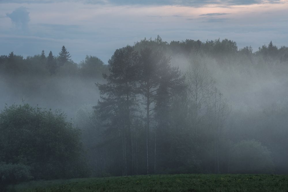 Photo 2918340