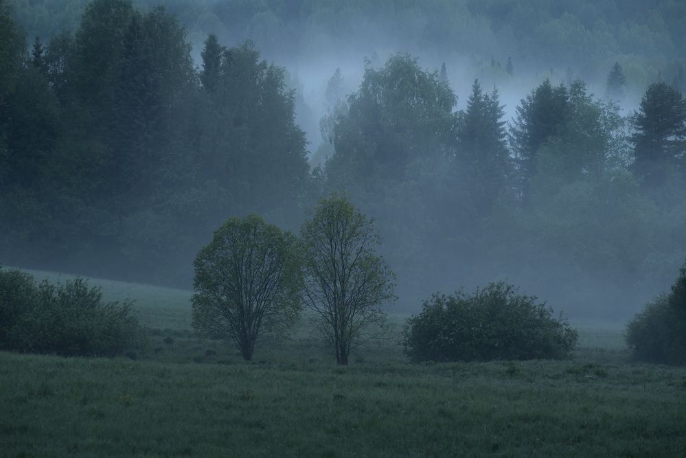 Photo 2918342