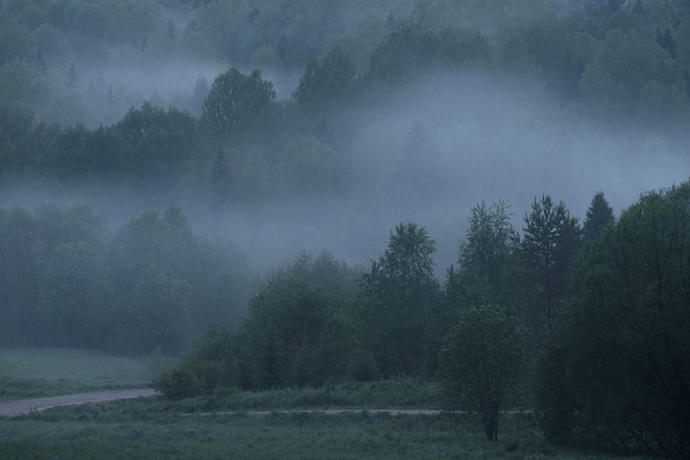 Photo 2918343