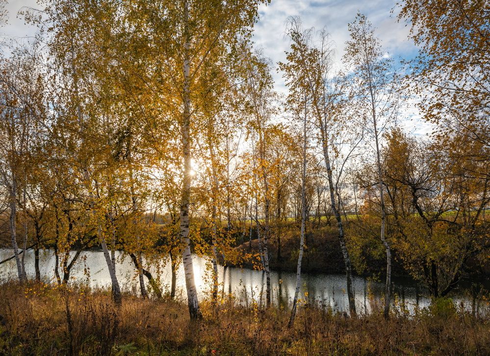 Осень на пруду