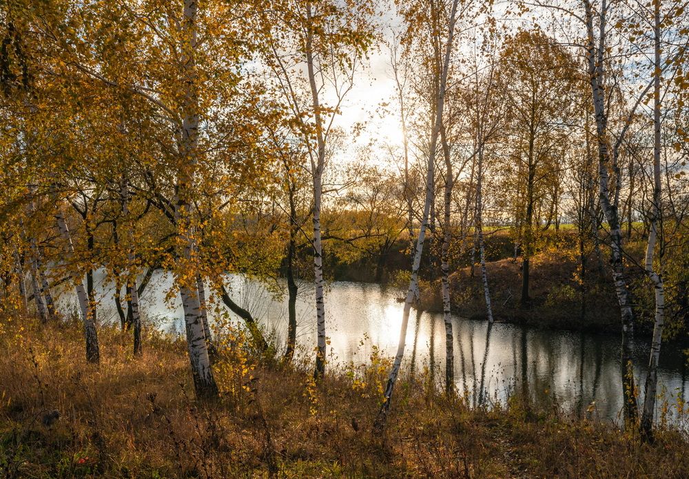 Осень на пруду