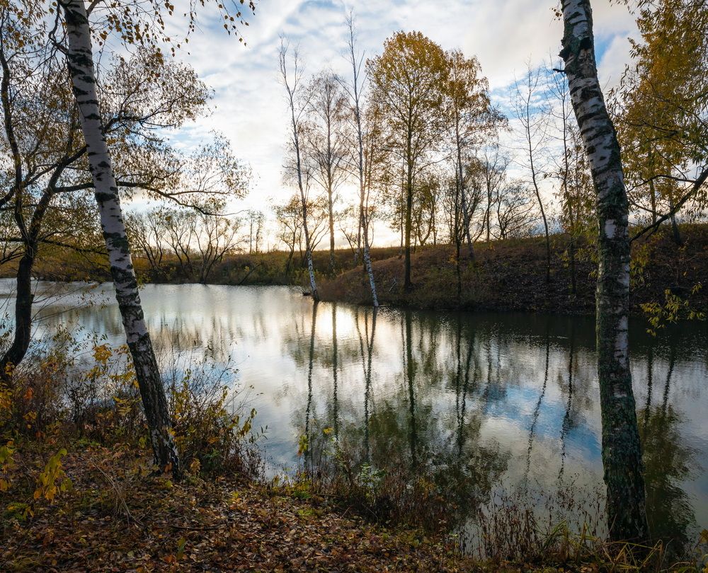 Осень на пруду