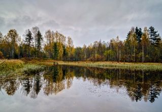 отражение октября