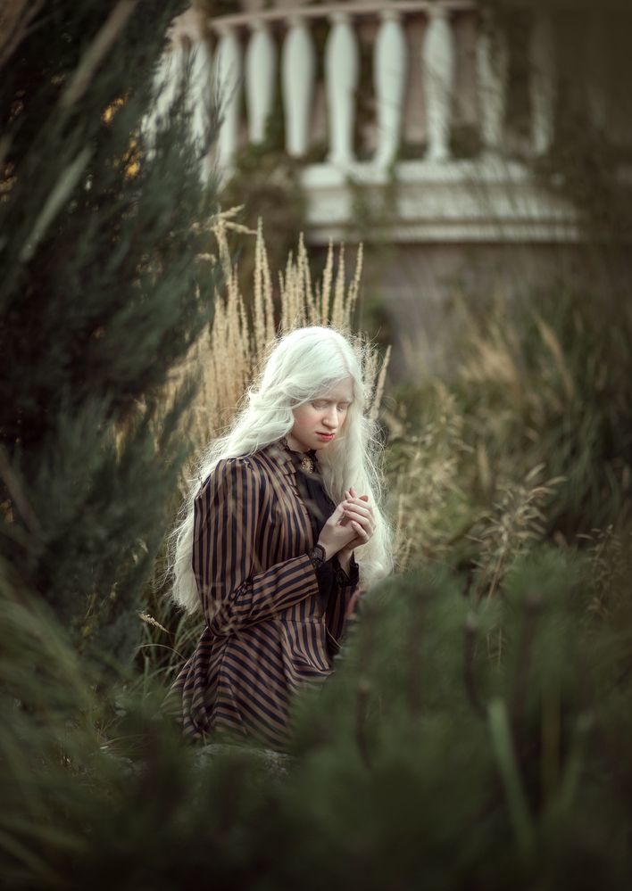 \"The White Princess\"...
