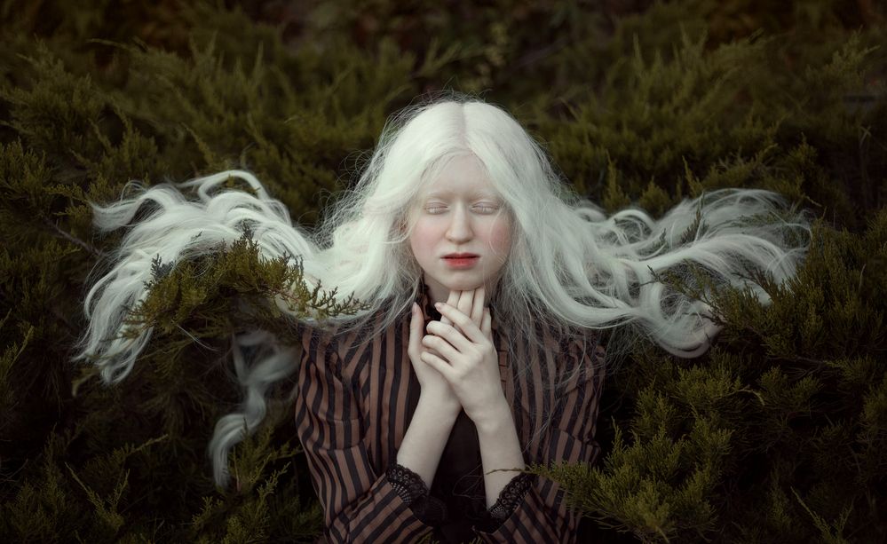 \"The White Princess\"...
