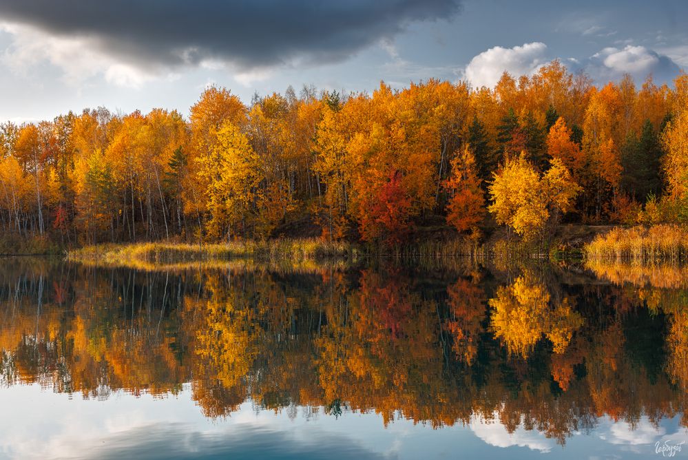 Кондуки осенью