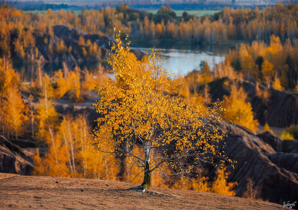 Кондуки осенью