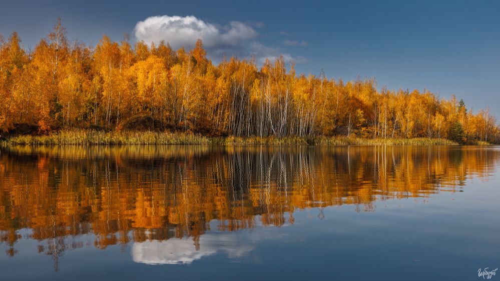 Кондуки осенью