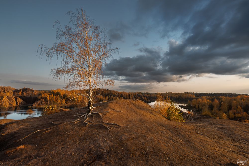 Кондуки осенью