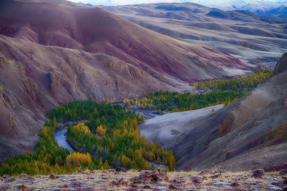 Красные горы Алтая