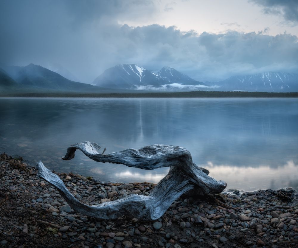 Коряги Байкала.