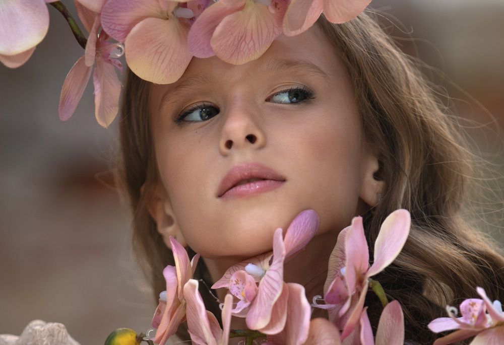 / In search of wonder ______/