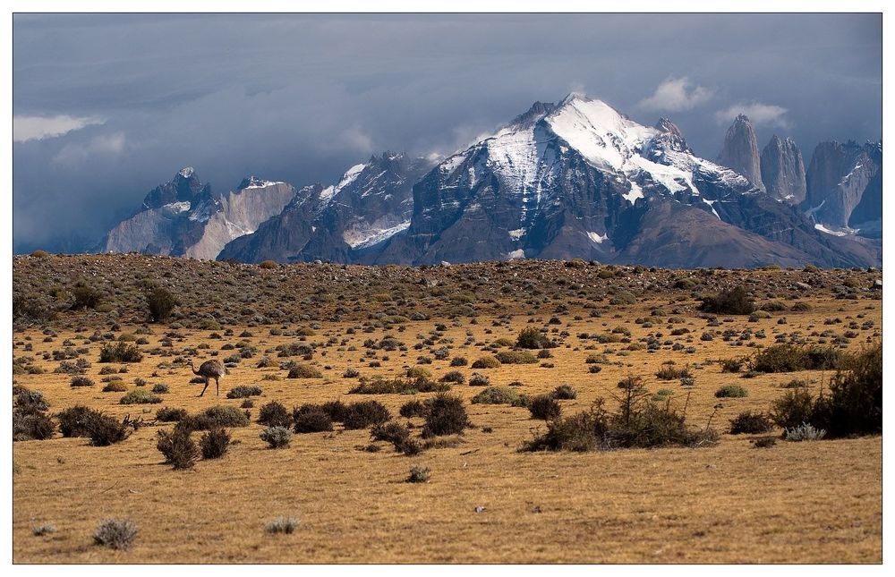 Don't cry for me Patagonia...