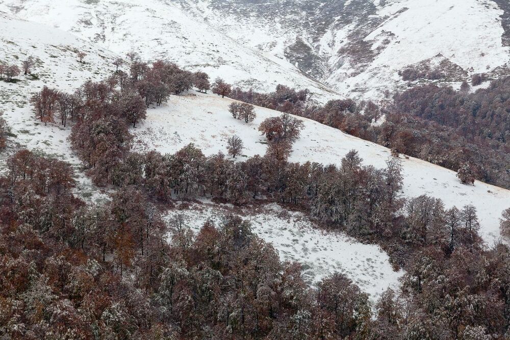 Осеннее настроение