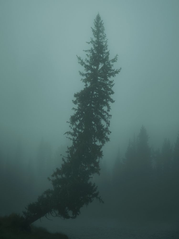 Moody
