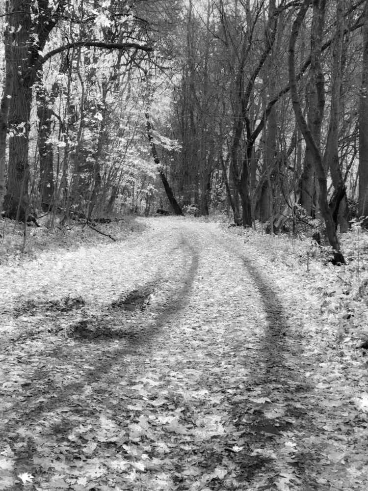 Photo 2920557