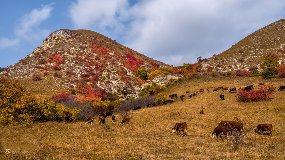 Осень на холмах