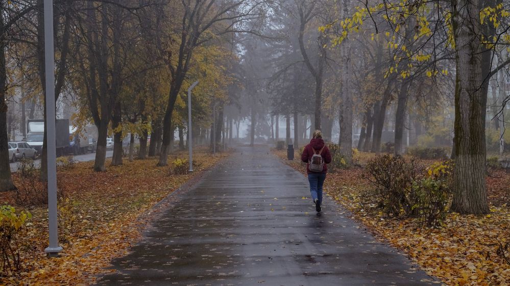 Осенние зарисовки
