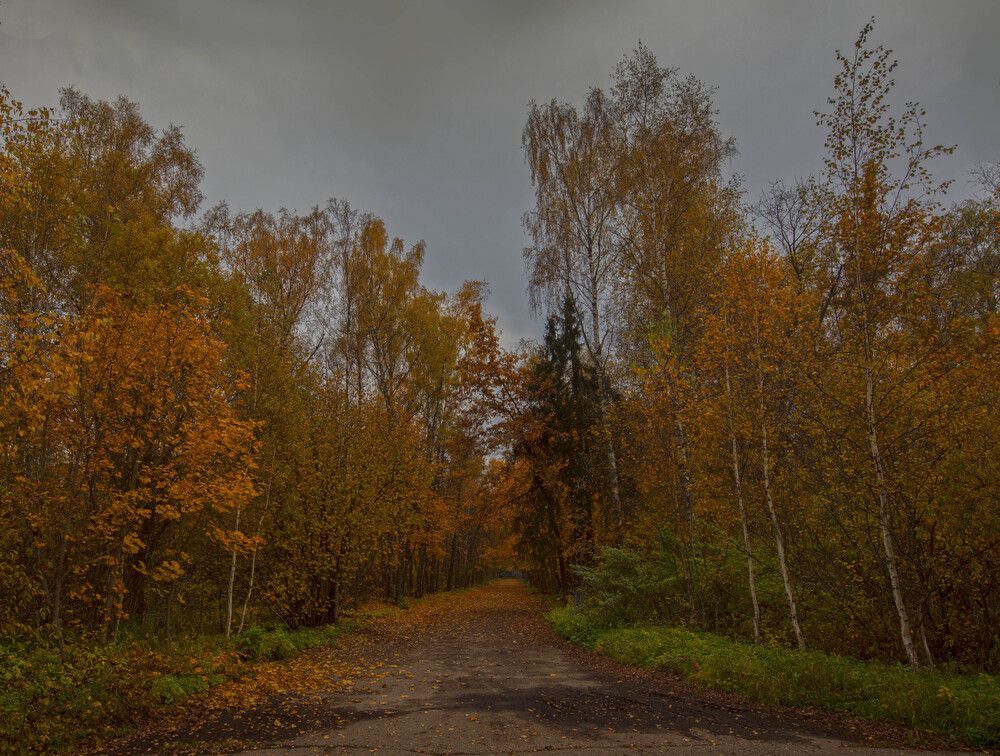 Photo 2920973