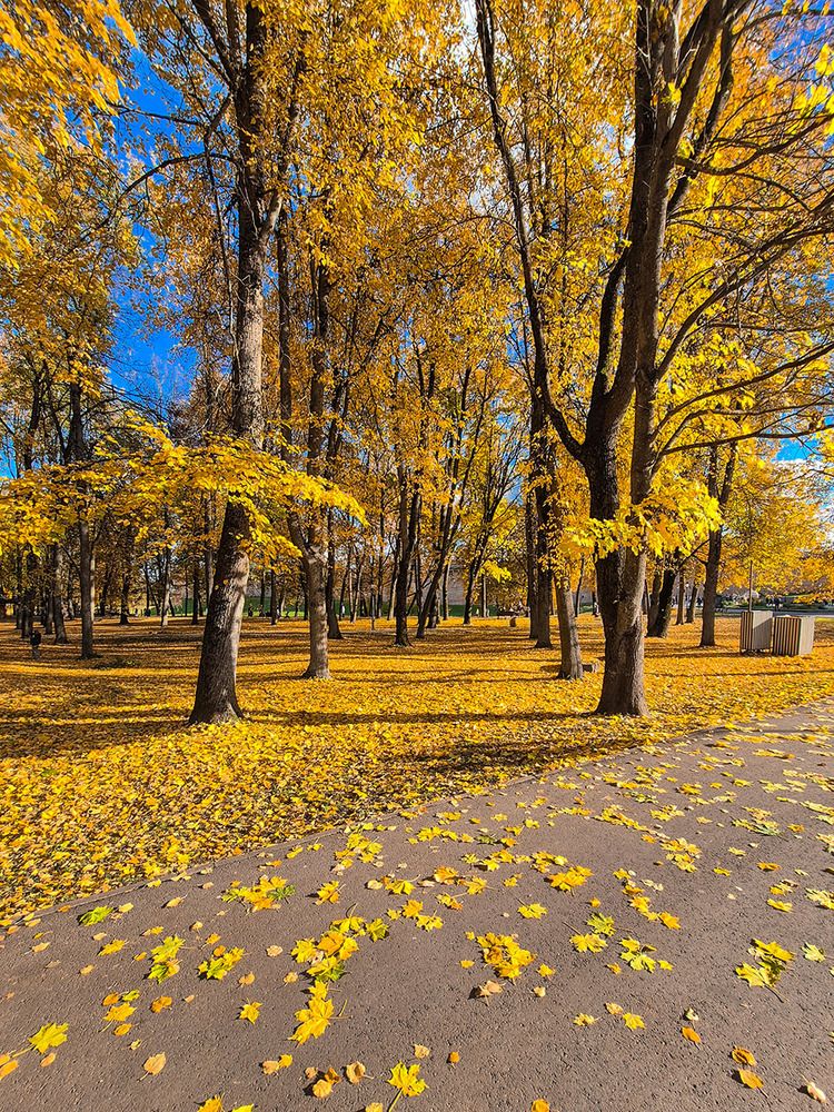В Великом золотая осень