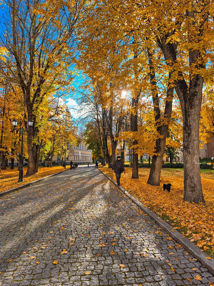 В Великом золотая осень