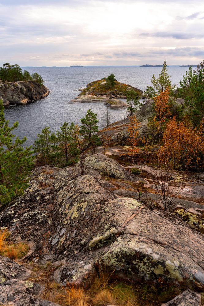 Карелия, остров Хонкасало