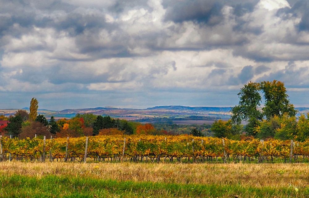 Etyek, Hungary