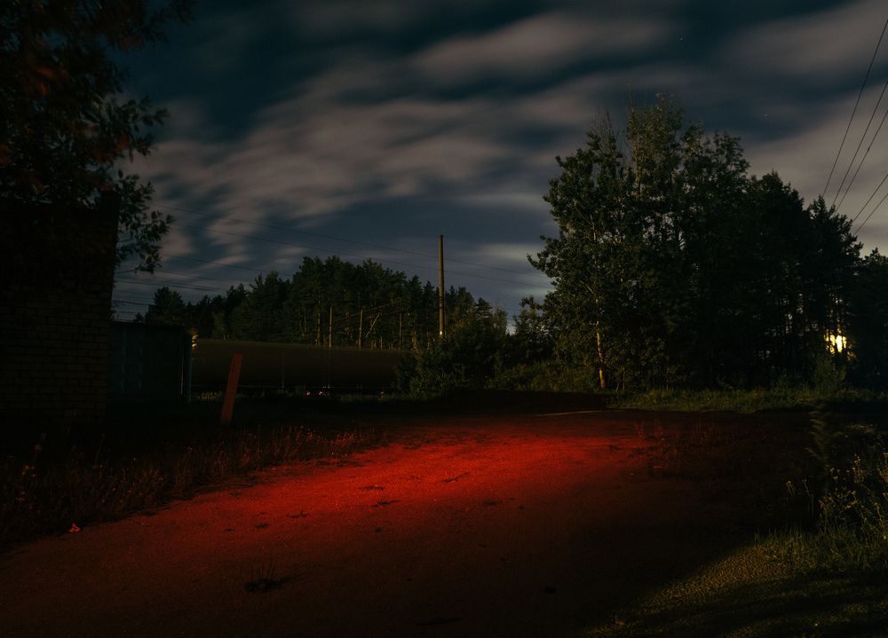 Photo 2922452