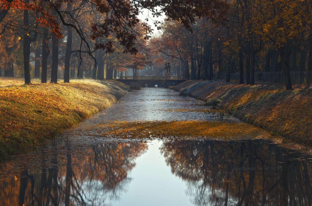 Царскосельская осень