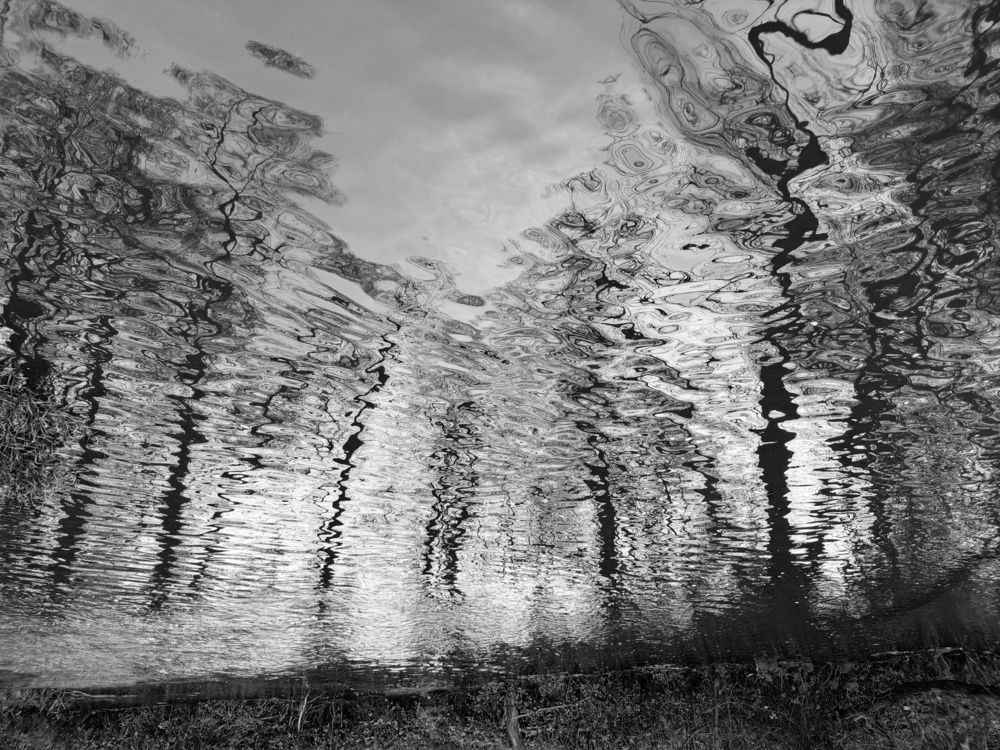 Photo 2922926