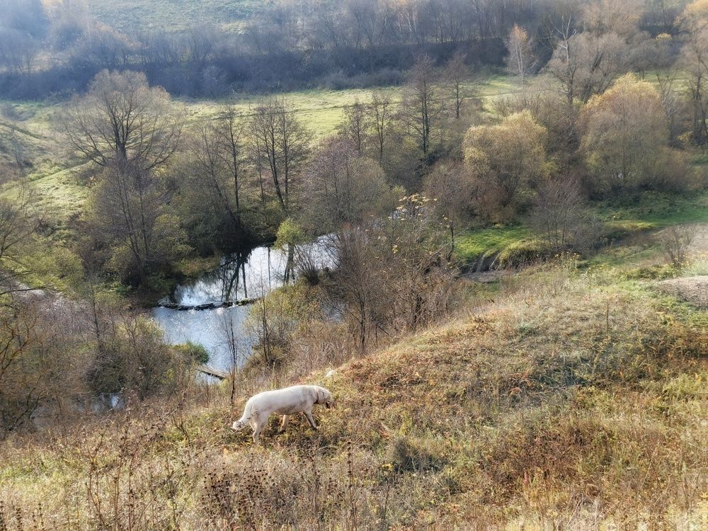 Photo 2923047