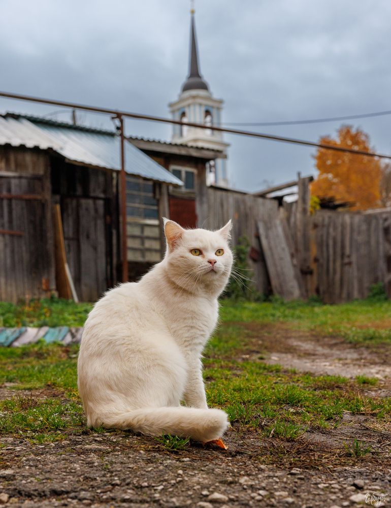 Венёв осенью
