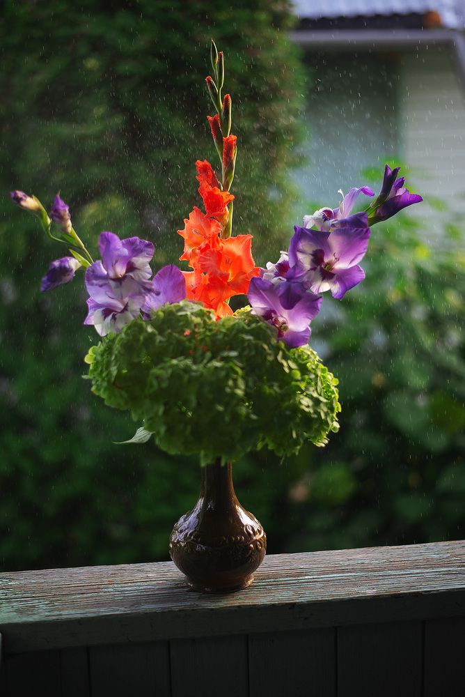 50mm f/1.8