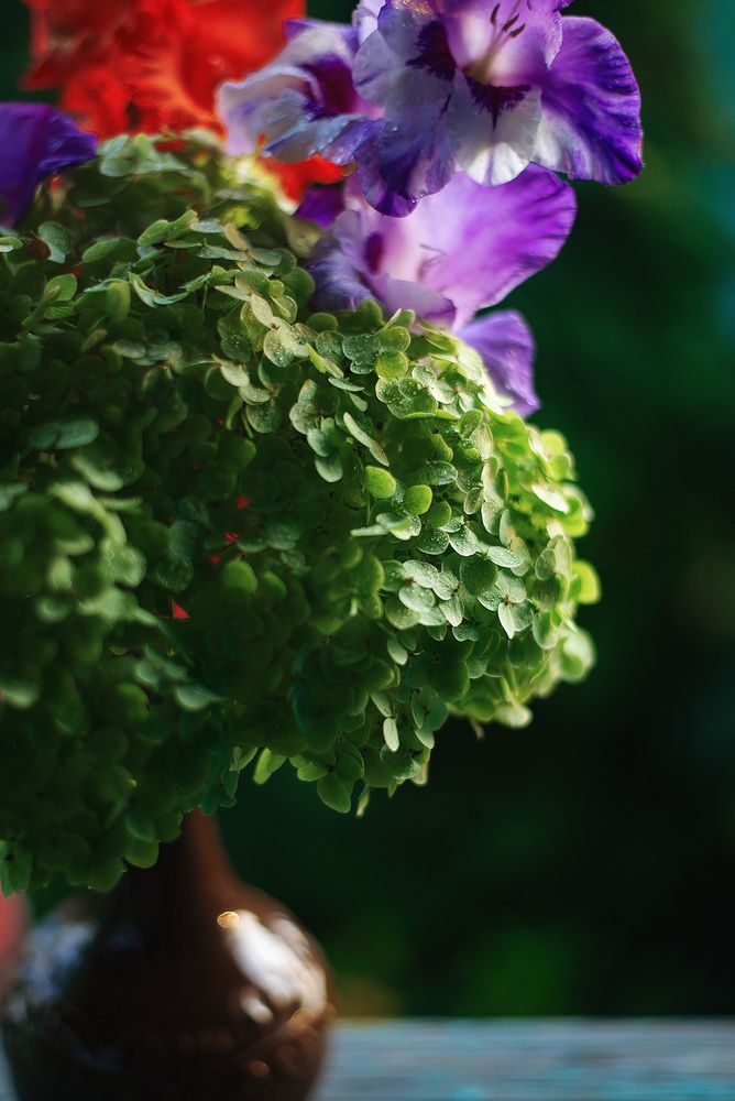 50mm f/1.8