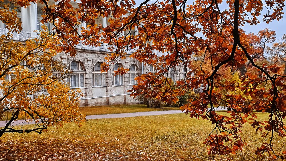 Осень в Царском селе