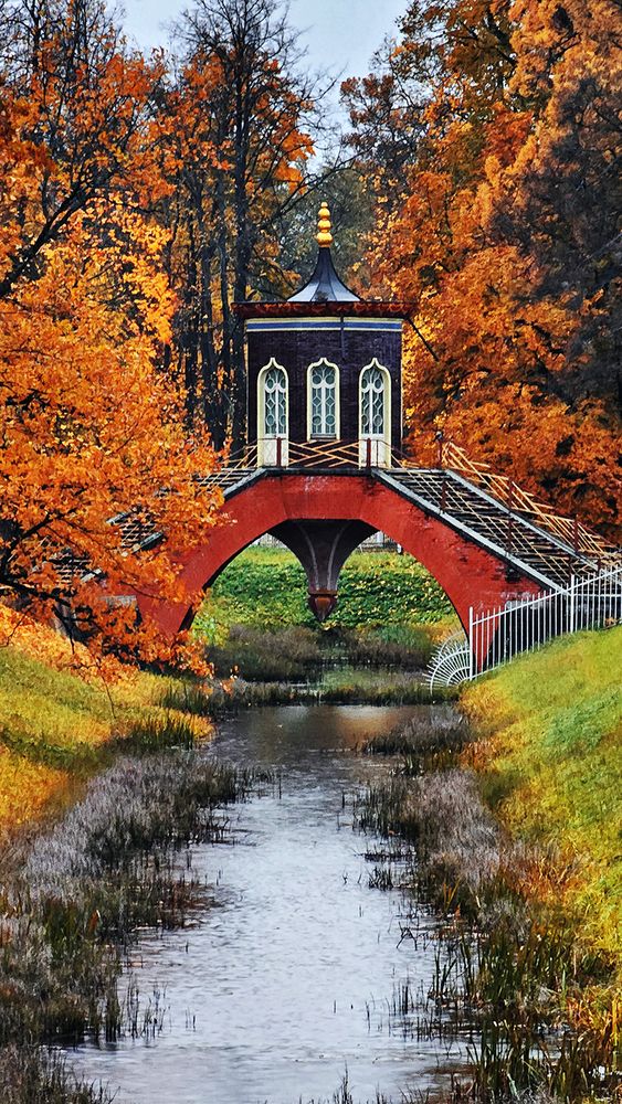 Осень в Царском селе