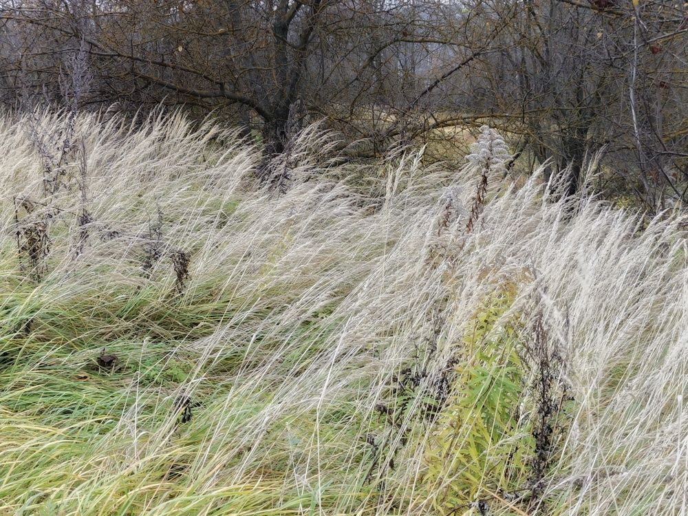 Photo 2923791