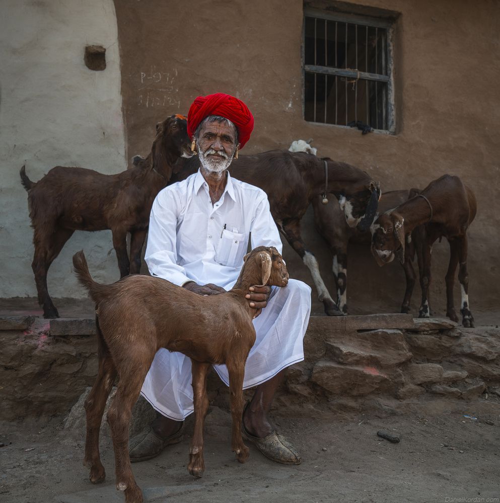 Rabari