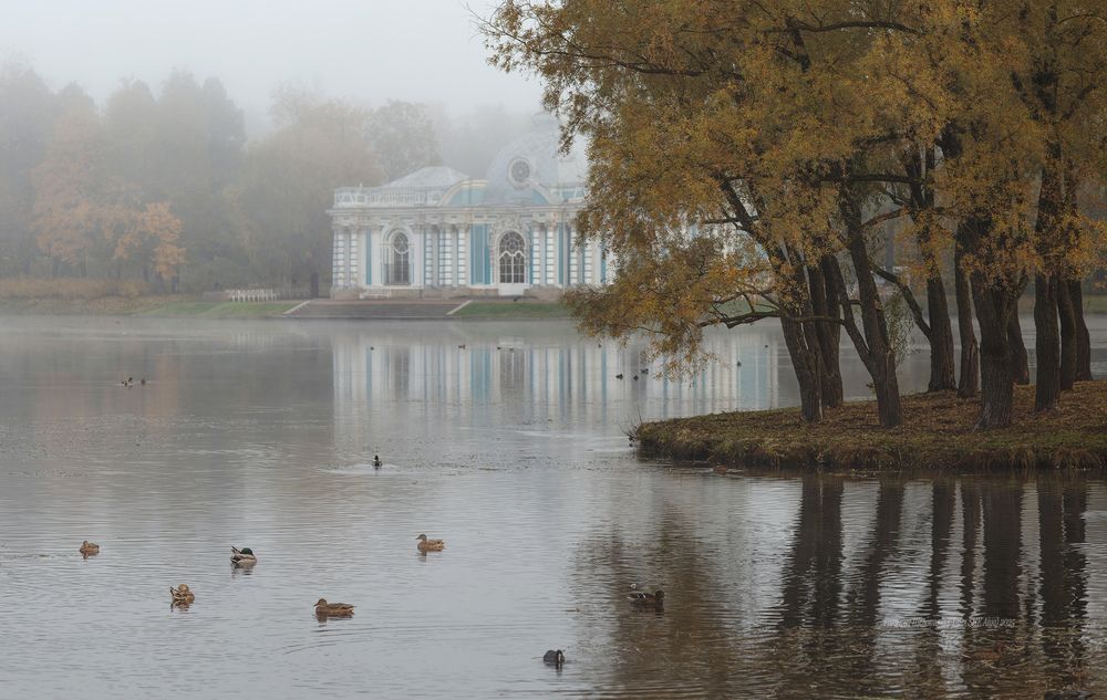 Туман в Катином парке