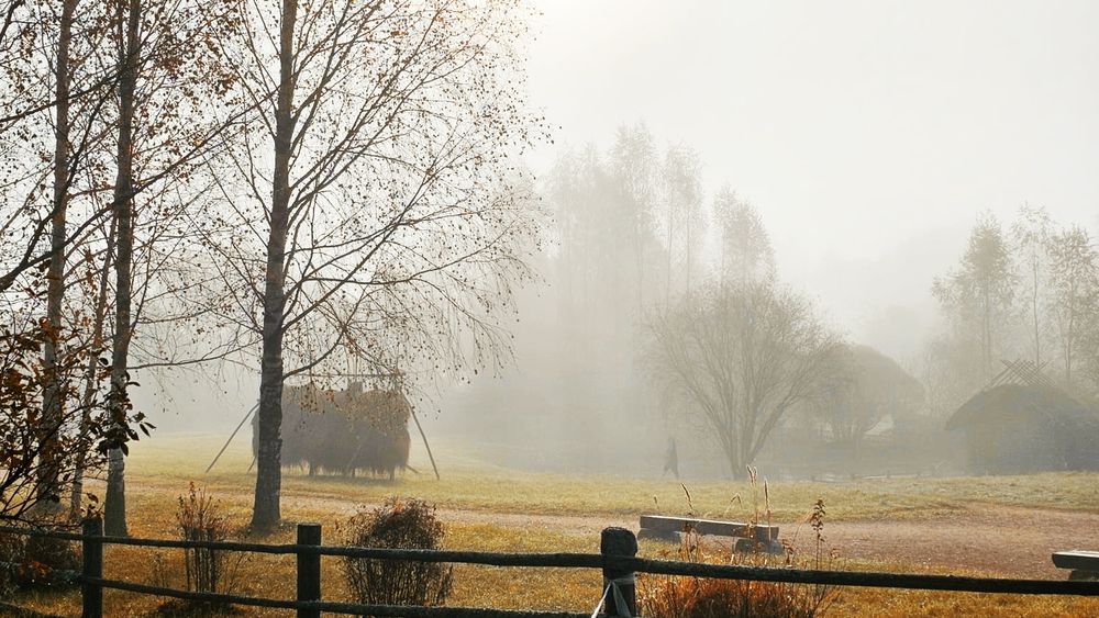 Photo 2924215