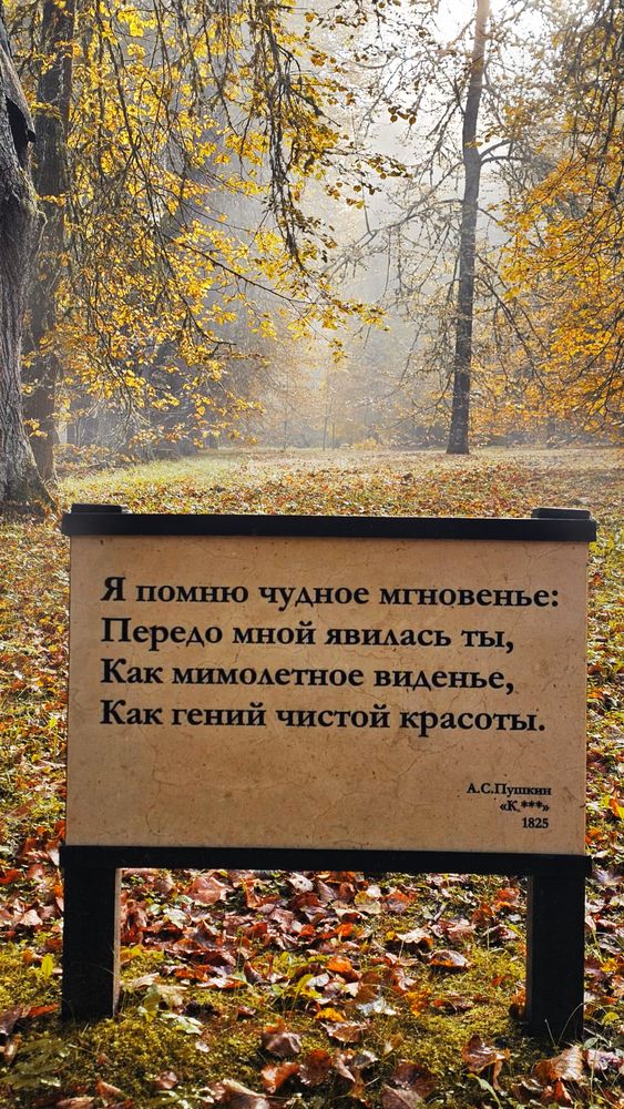 Photo 2924217